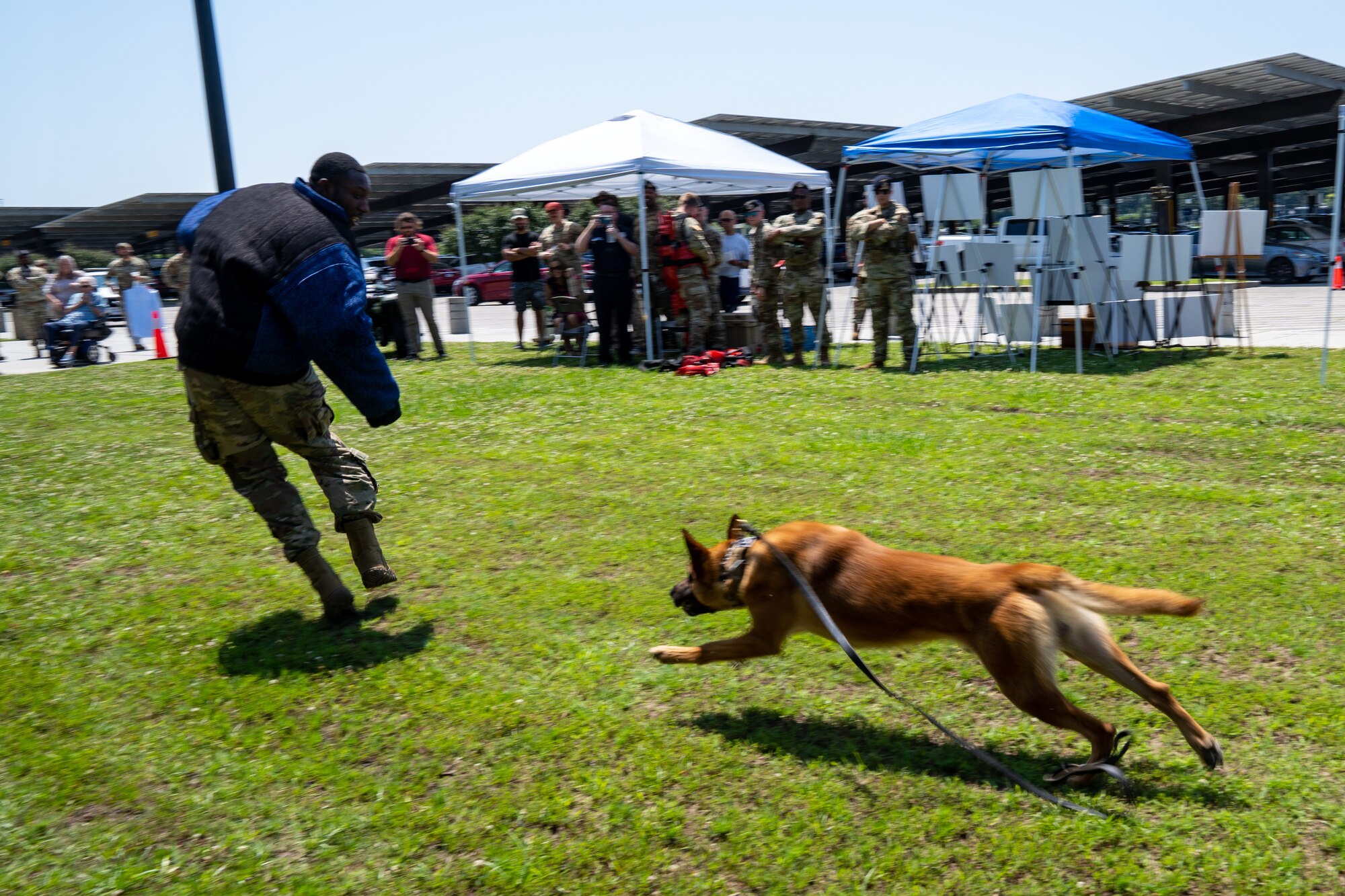 Zzelle, 81st Security Forces Squadron military working dog, demonstrates a takedown with U.S. Air Force Senior Airman Victor Henderson, 81 SFS military working dog handler, during a demonstration for National Police Week at Keesler Air Force Base, Mississippi, May 16, 2023.