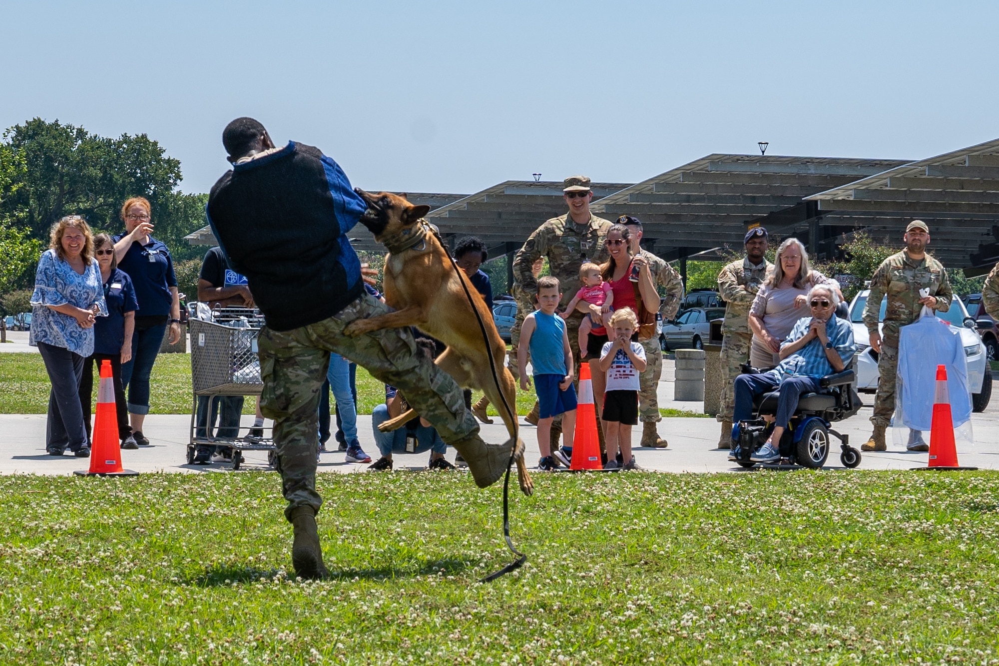 U.S. Air Force Senior Airman Victor Henderson, 81st Security Forces Squadron military working dog handler, demonstrates a takedown with Zzelle, 81 SFS military working dog, during a demonstration for National Police Week at Keesler Air Force Base, Mississippi, May 16, 2023.