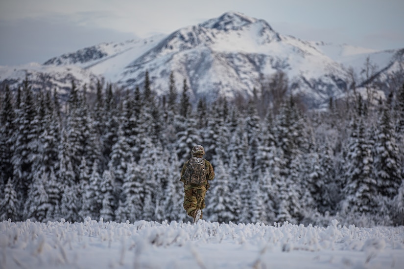 A lone soldier stands on snowy ground. A tree line and a large mountain loom in the background.