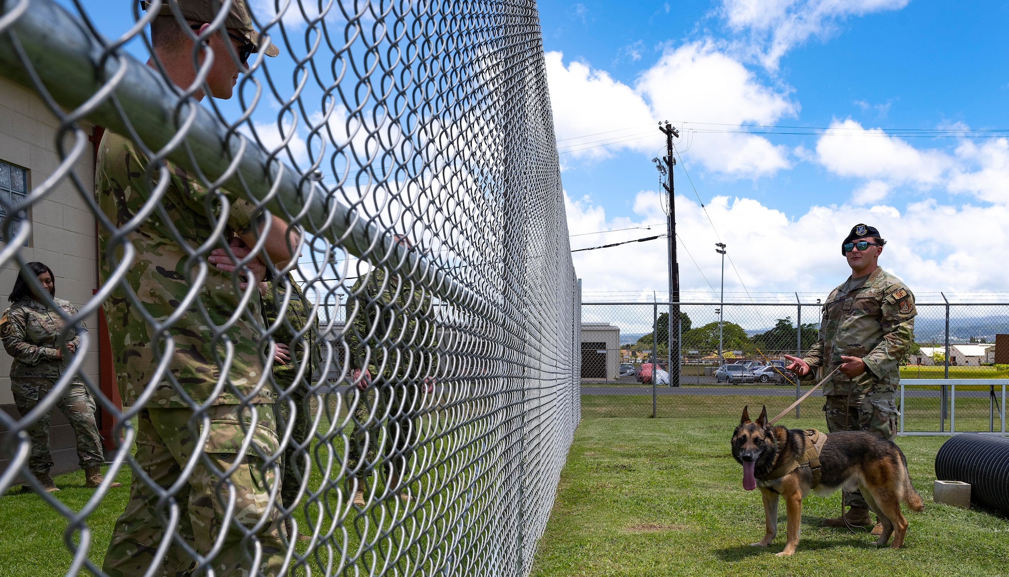 A photo of dog handler training