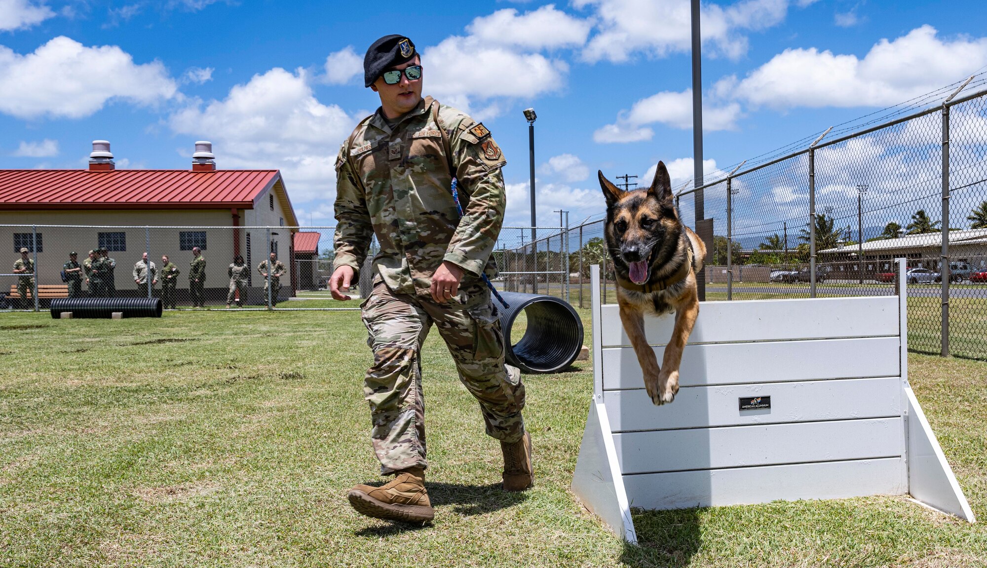 A photo of dog handler training