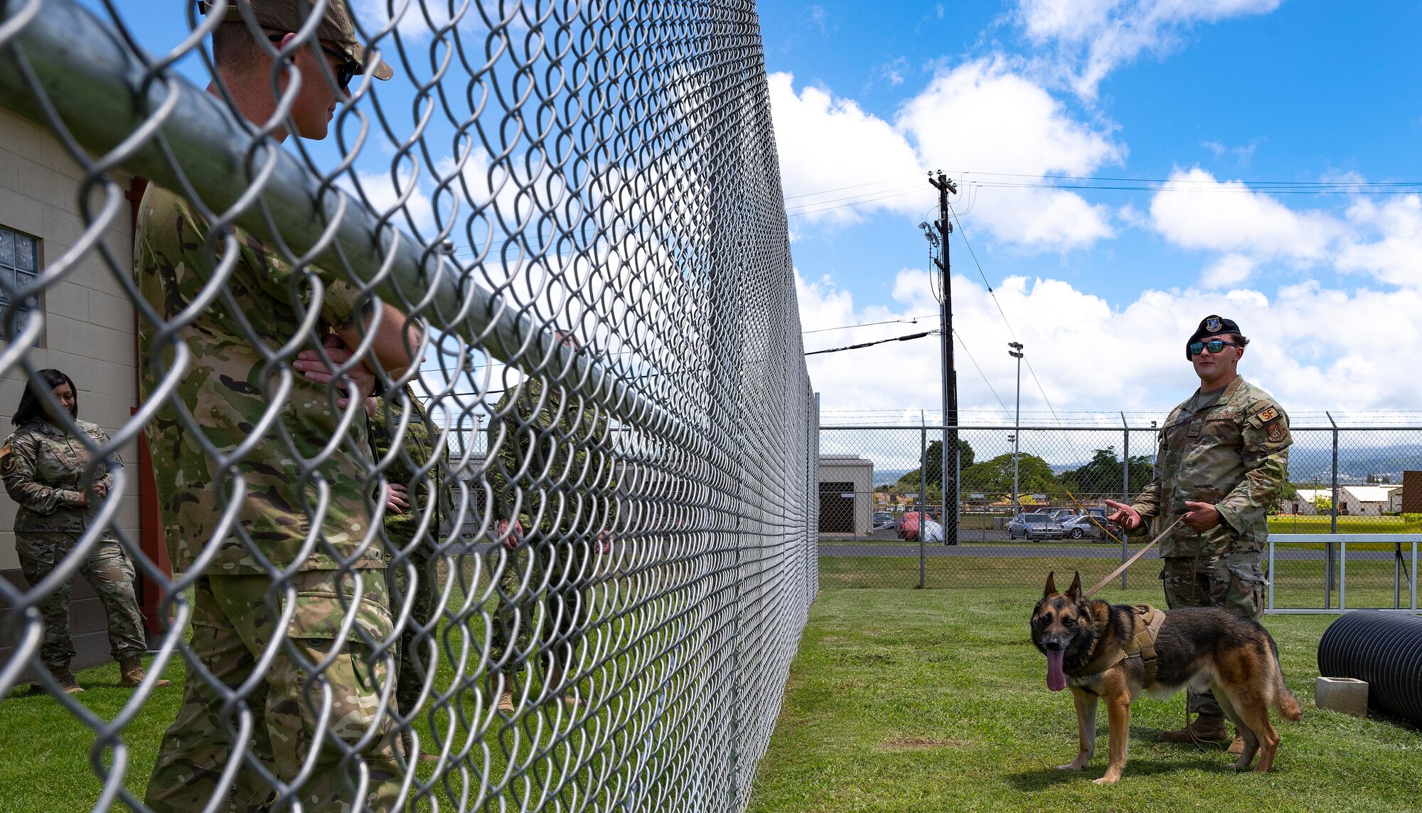 A photo of dog handler training