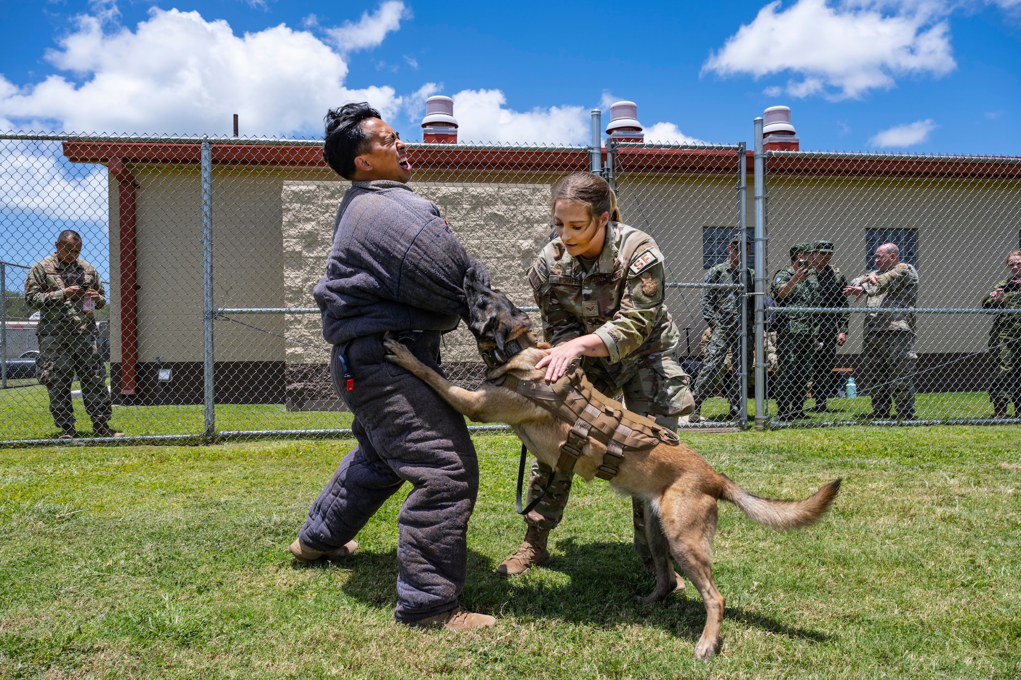 a photo of dog handler training.