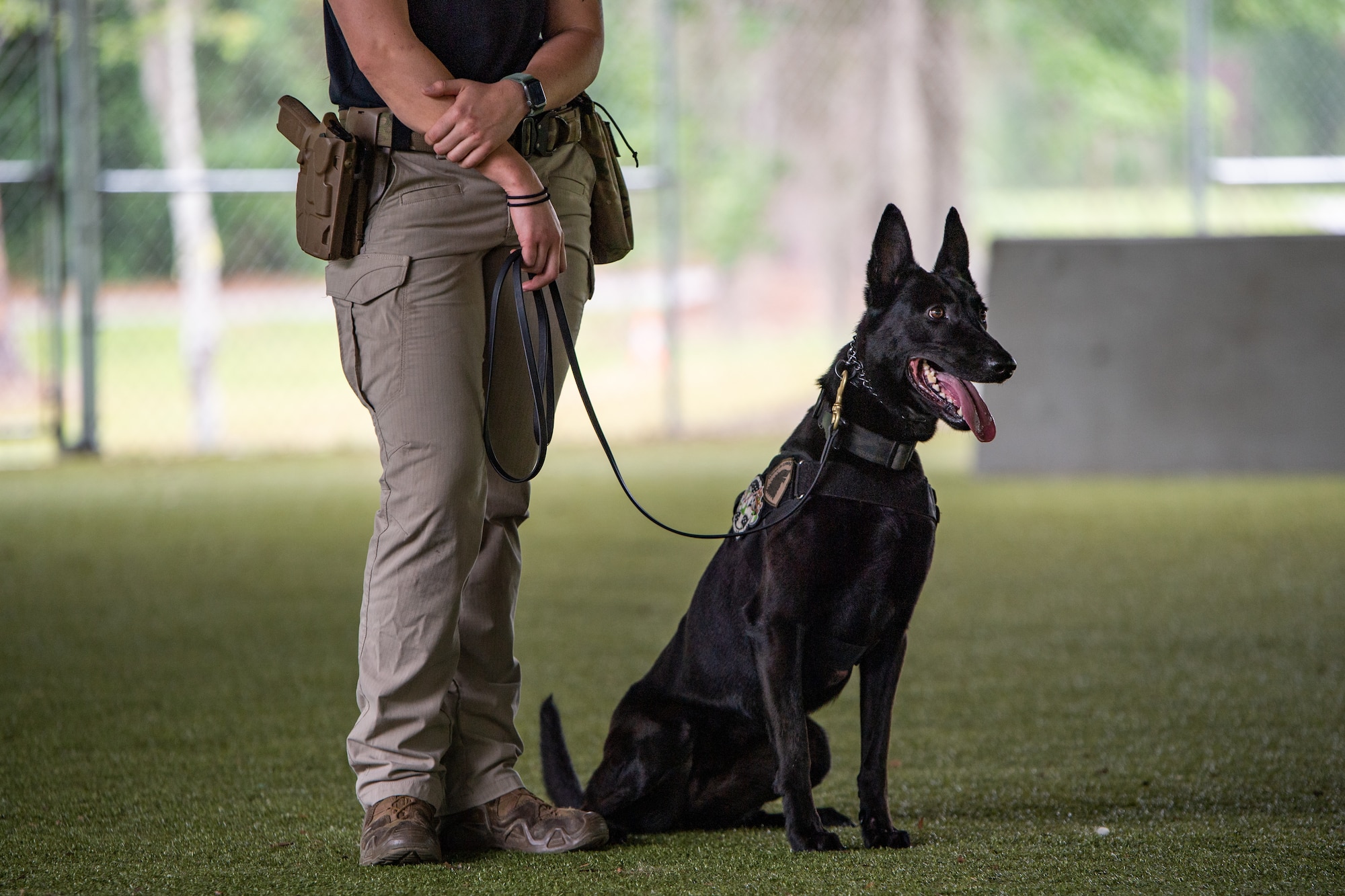 A dog handler waits with military working dog