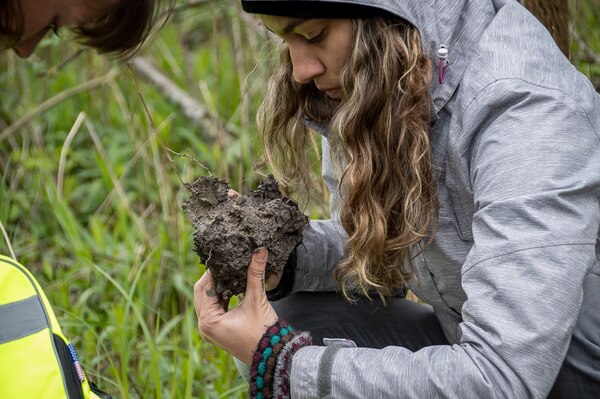 Two people looking at the composition of soil to determine if it has the factors that would make the immediate area a wetland.