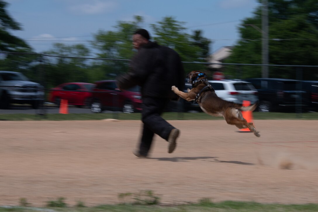 A man in a padded suit runs from a dog.