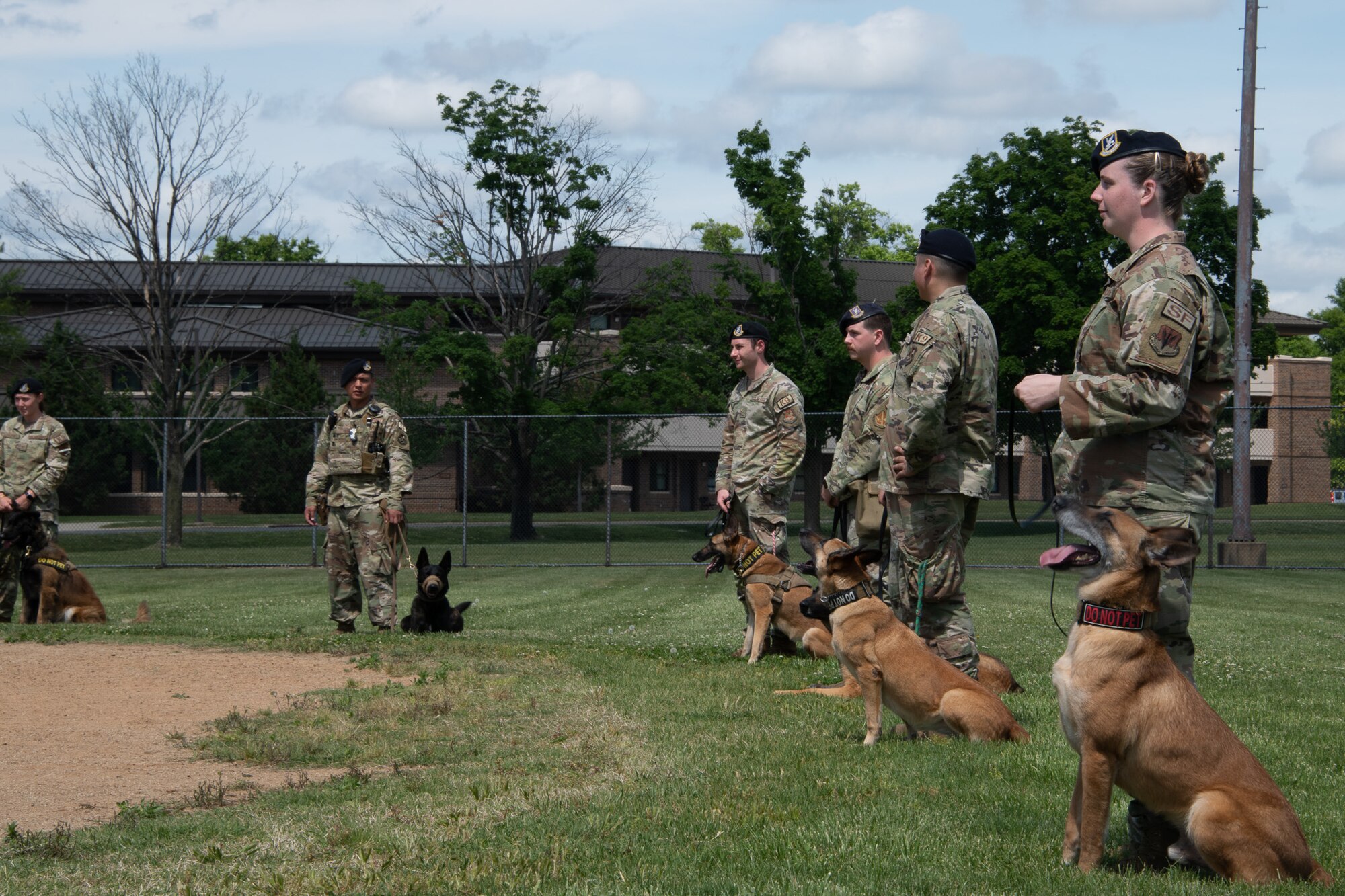 Military members in uniform stand with dogs in a field.