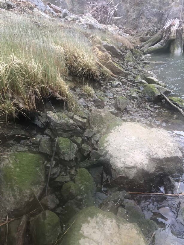 Photo of a degraded embankment near the McGlinn Island Jetty.