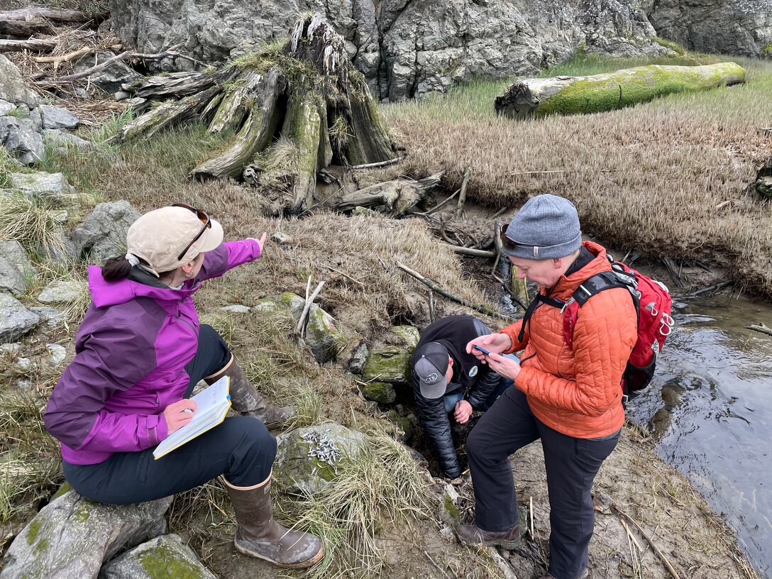 Members of U.S. Army Corps of Engineers, Seattle District crisis action team examine and record the number of dead and injured juvenile fish during a site visit, April 21, 2023. The presence of the dead endangered salmon led to emergency repairs to the McGlinn Island Jetty that begin May 22, 2023.