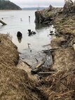 Photo of an inlet that contains logs that fell and are lodged across the inlet.