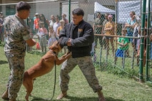 U.S. Marine Corps military working dog Zzohan conducts a bite demonstration for families at the Marine Corps Base Hawaii Provost Marshal’s Office open house event, MCBH, May 17, 2023. The PMO open house was done as a community outreach event for MCBH in conjunction with National Police Week. (U.S. Marine Corps photo by Lance Cpl. Hunter Jones)