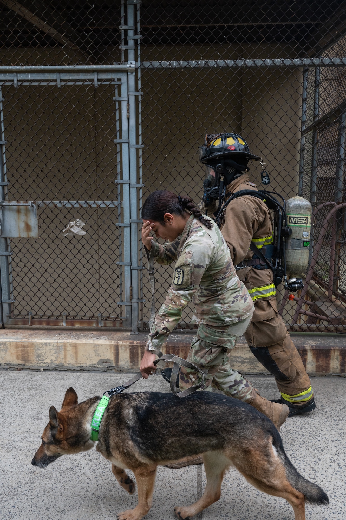 106th Medical Division Veterinarian Service Support veterinarian technician, roleplays as a patient and is escorted by a military working dog during a mass casualty training event at Kunsan Air Base