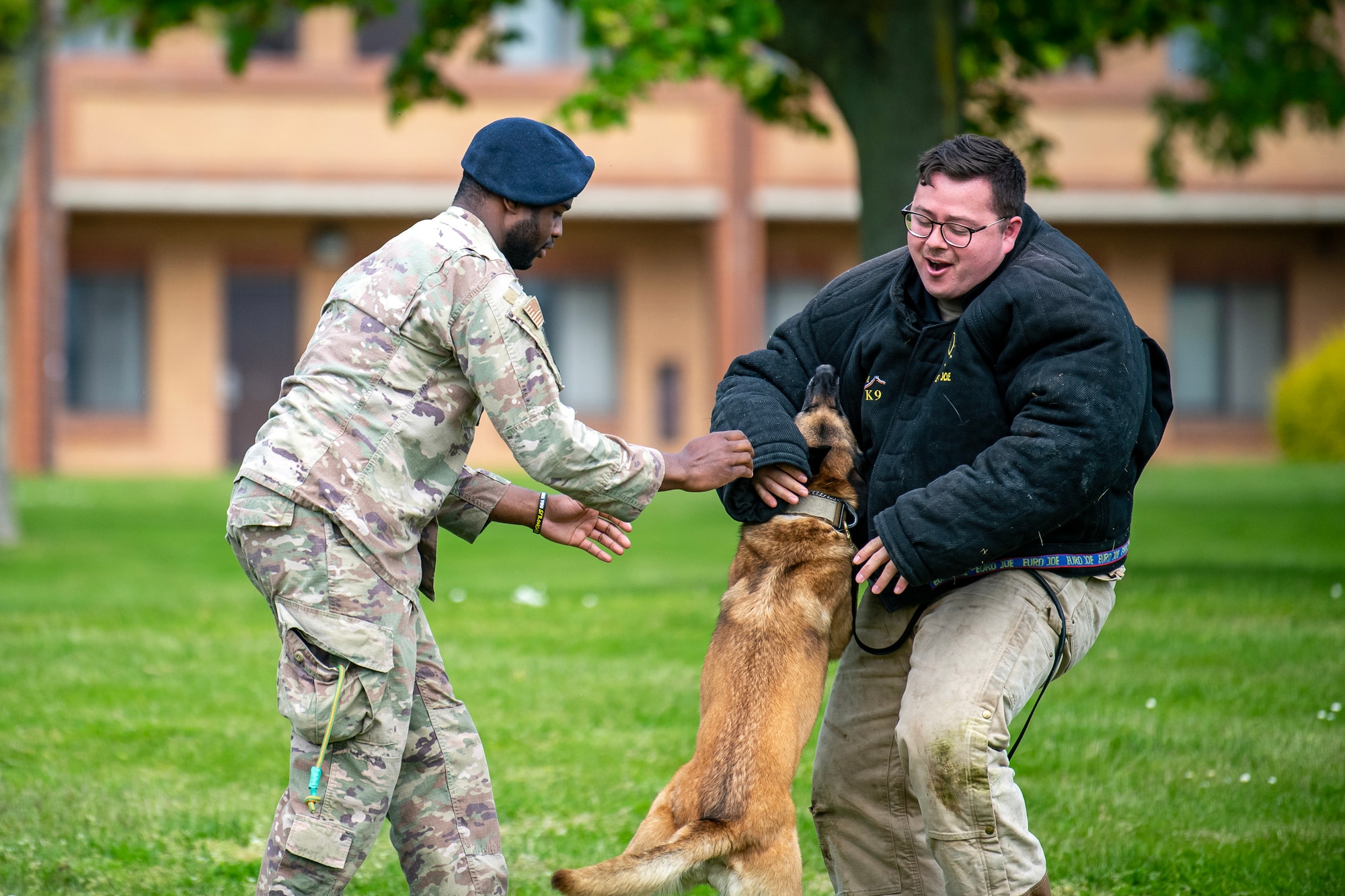U.S. Air Force Senior Airman Jelani Bell, 100th Security Forces Squadron Military Working Dog handler, and MWD Uta, apprehend a simulated suspect as part of a demonstration at RAF Alconbury, England, May 18, 2023. The demonstration was a part of National Police Week where members from SFS engaged with and demonstrated police capabilities to students from Alconbury Elementary school. (U.S. Air Force photo by Staff Sgt. Eugene Oliver)