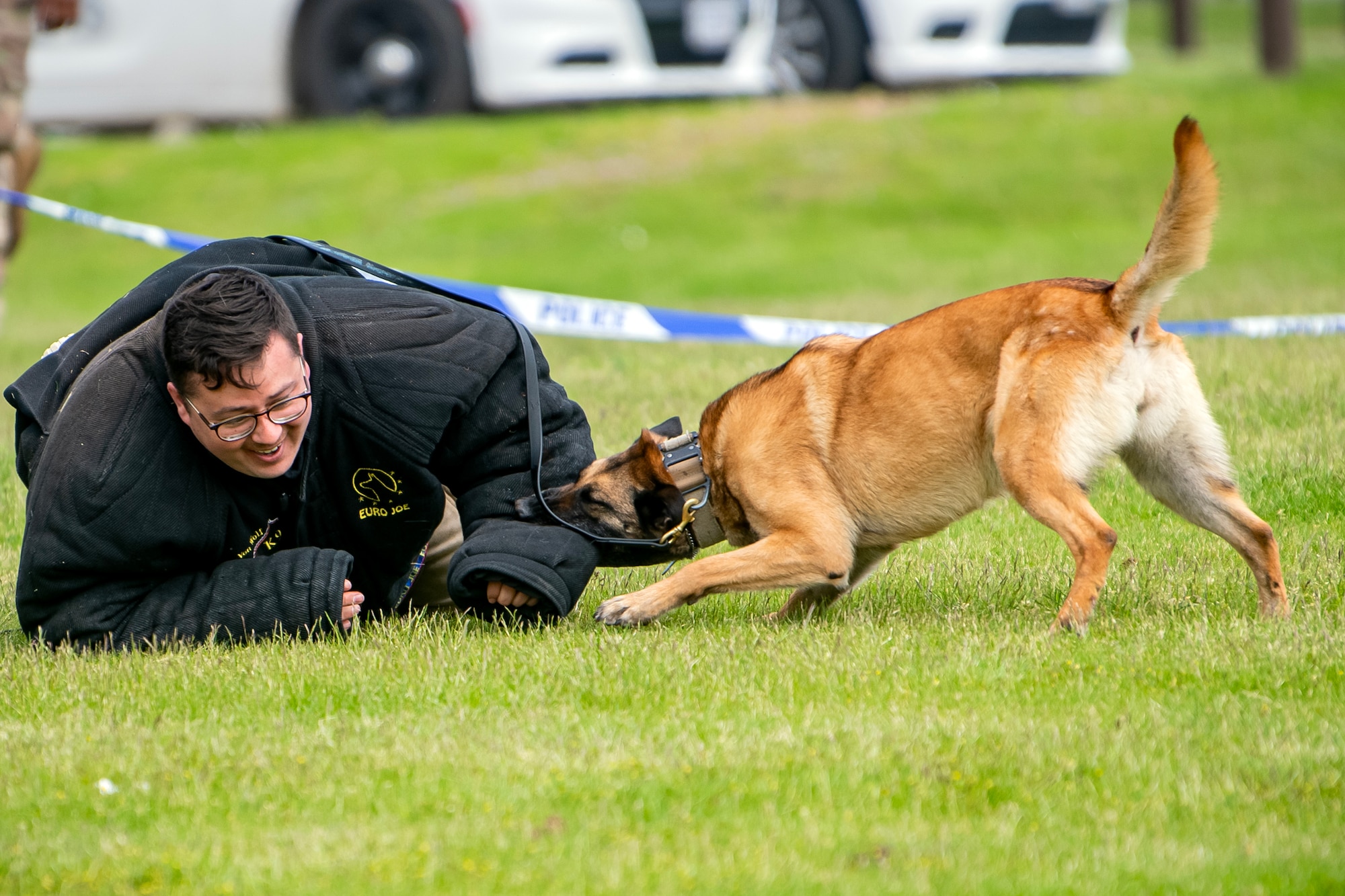 Military Working Dog Uta apprehends a simulated suspect during a demonstration at RAF Alconbury, England, May 18, 2023. The demonstration was a part of National Police Week where members from SFS engaged with and demonstrated police capabilities to students from Alconbury Elementary school. (U.S. Air Force photo by Staff Sgt. Eugene Oliver)