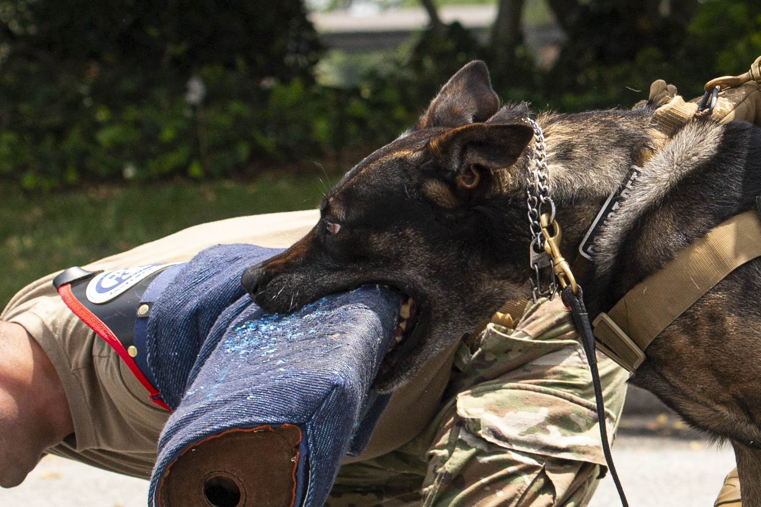 Moody celebrates police week > Moody Air Force Base > Article Display