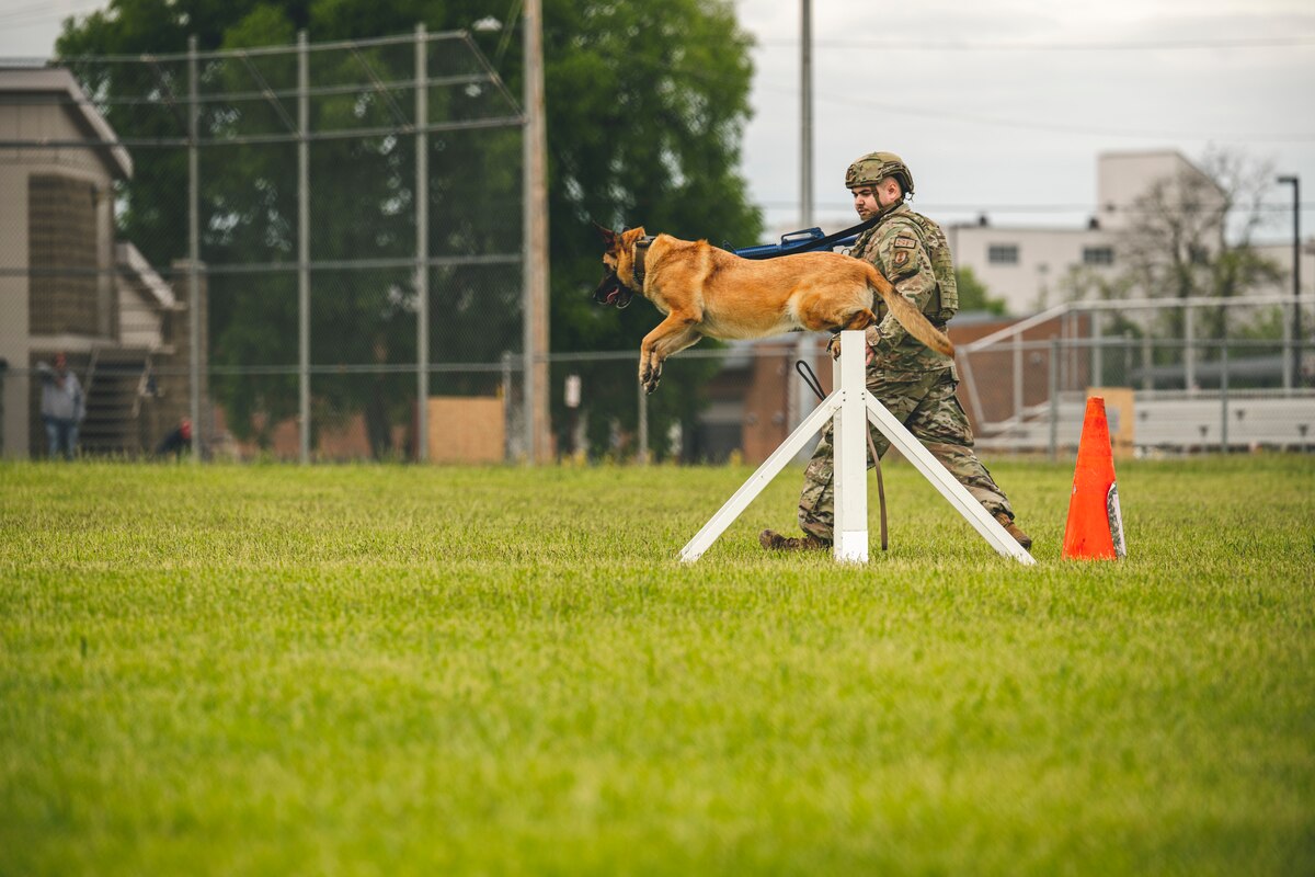 Military working dog and handler compete in K-9 Obedience Competition.