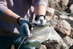 A volunteer shows some of the trash being collected along the shoreline near Naval Medical Center Portsmouth during Clean the Base Day activities at the Naval Support Activity Hampton Roads Portsmouth Annex, May 5.