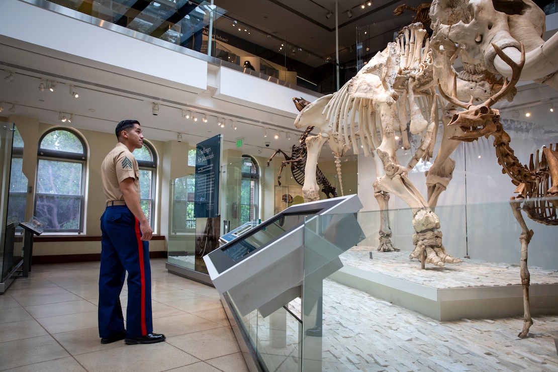 U.S. Marine Sgt. Jose Baiza, from Los Angeles, assigned to the 5th Battalion, 11th Marine Regiment, 1st Marine Division, tours the Natural History Museum of Los Angeles during LA Fleet Week (LAFW), May 25, 2023.