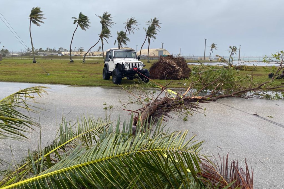 A jeep sits in a field littered with damaged trees.
