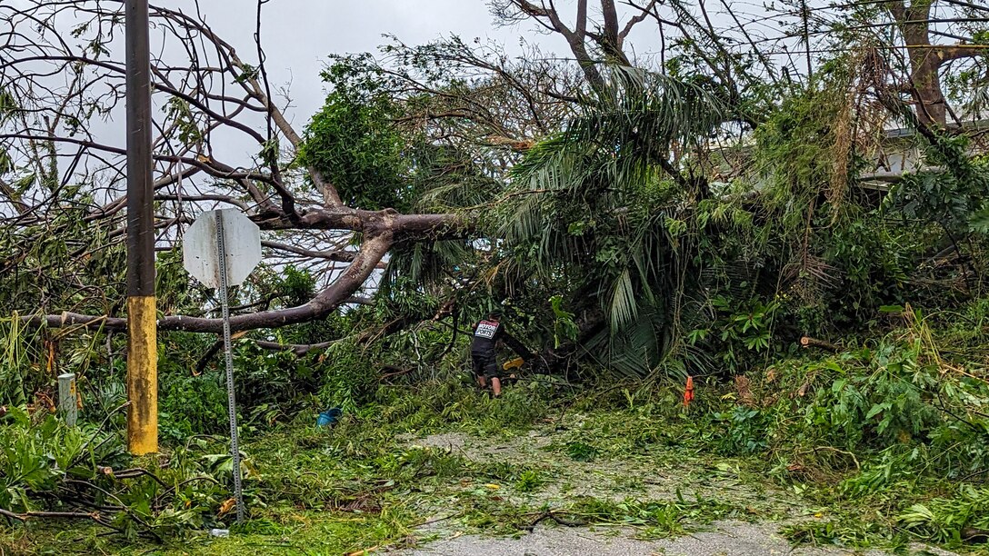 A fallen tree and debris sit in a street on the island territory of Guam