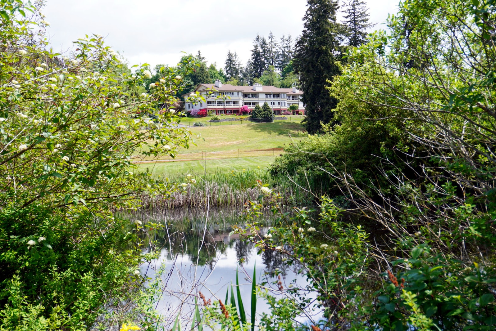 Photo of the Lake Ballinger Center, known locally as Mountlake Terrace Community Senior Center, with Ballinger Creek in the foreground, Mountlake Terrace, Washington, where construction to restore the fish and wildlife habitat for over 16 acres of a former golf course, began mid-May 2023 and will run through spring 2024. The $5.5 million project construction cost, of which $3.4 million comes from Bipartisan Infrastructure Law (BIL) funding that President Joseph R. Biden signed into law in November 2021, includes creating a wetted creek channel, removing invasive plants, and installing a diverse array of plants.
