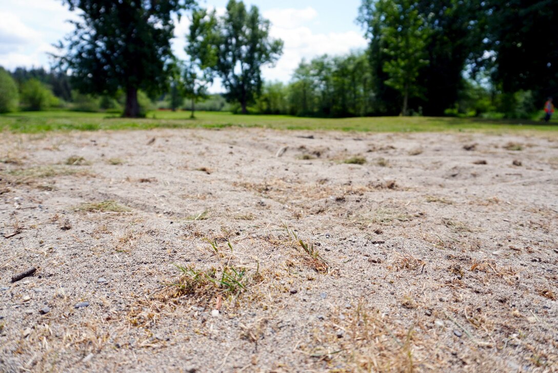 Photo of one of the bunker sands that existed on the previous 16-acre golf course in Mountlake Terrace, Washington. The area, Ballinger Park, is where on-going construction to restore the fish and wildlife habitats is currently underway. The fish and wildlife habitat restoration project includes creating a wetted creek channel, removing invasive plants, and installing a diverse array of plants.