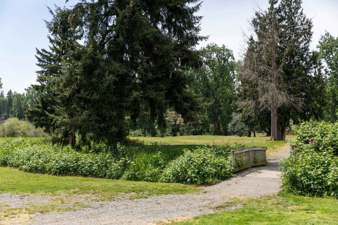 Photo of the pedestrian bridge leading residents and visitors to Ballinger Park, in Mountlake Terrace Washington