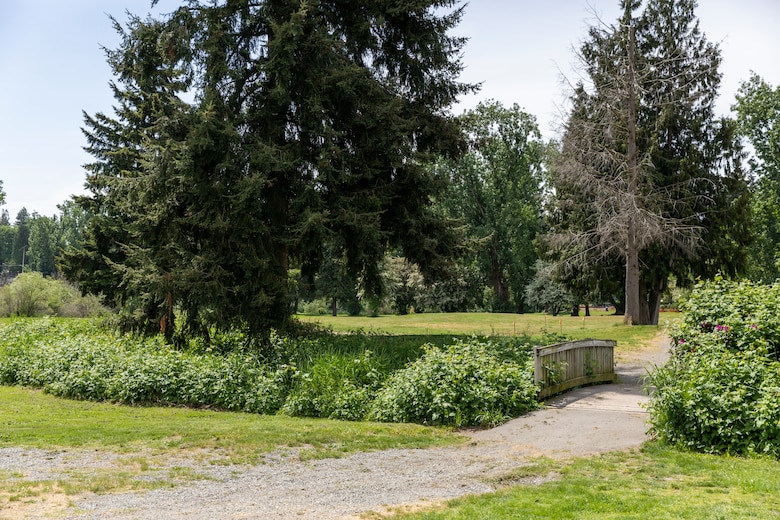 Photo of the pedestrian bridge leading residents and visitors to Ballinger Park, in Mountlake Terrace Washington