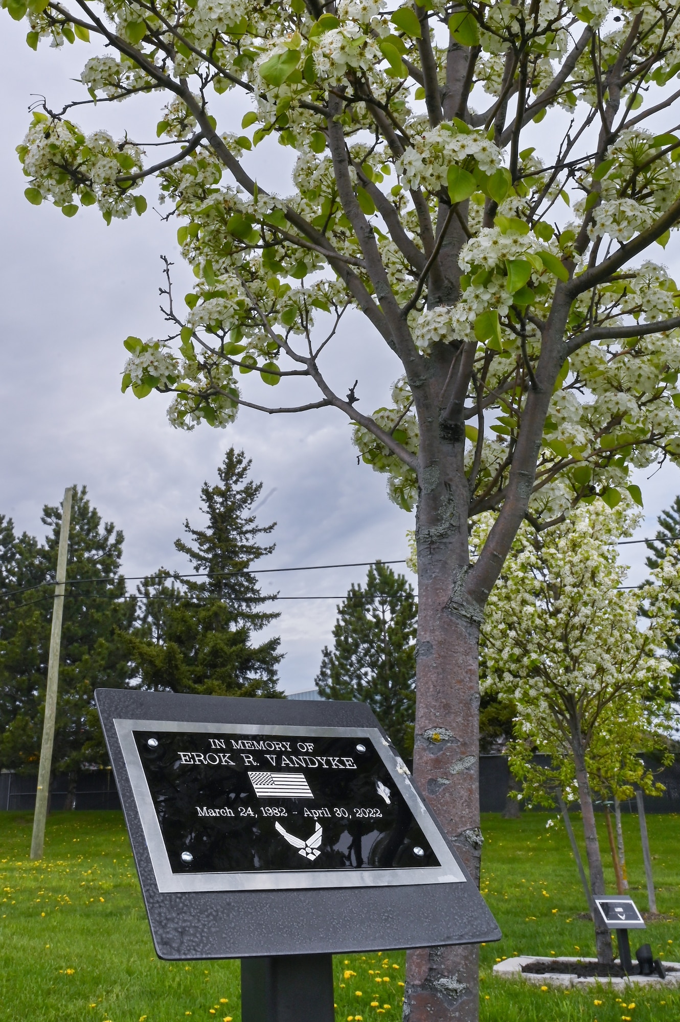 A tree was planted in honor of retired U.S. Air Force Master Sgt. Erok VanDyke at Niagara Falls Air Reserve Station, New York, on May 7, 2023.