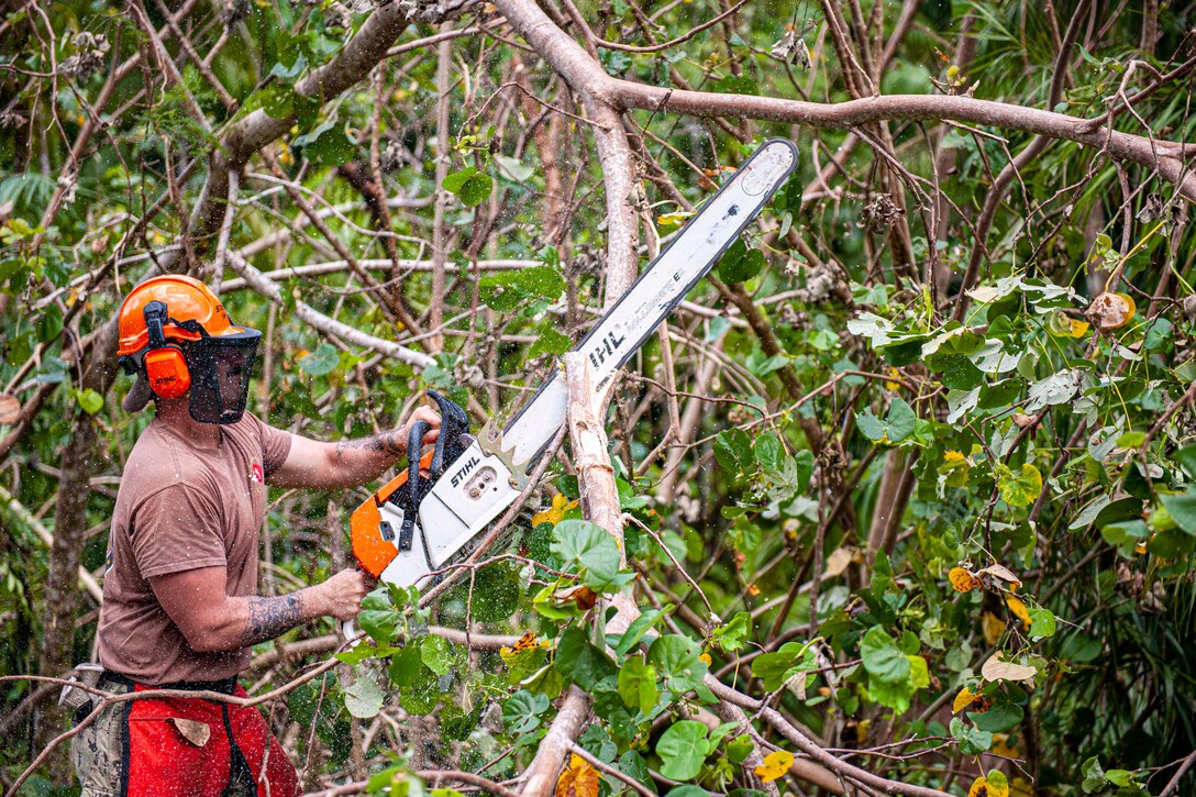 Wood pieces fly as a sailor wearing protective gear uses a chainsaw to cut a fallen tree.