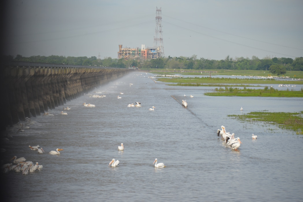 Operation of the Bonnet Carre Spillway in the 2020 flood fight.