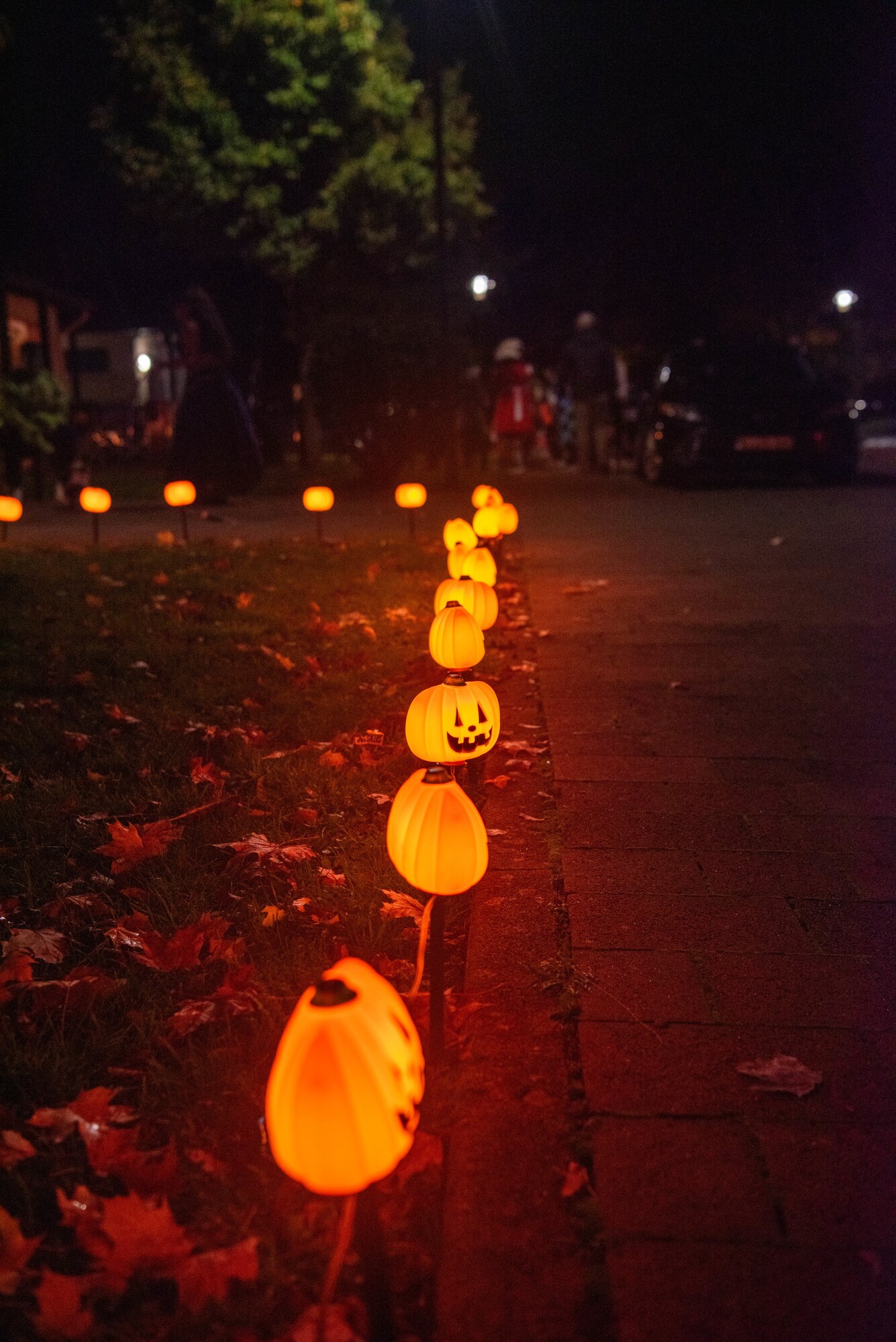 Halloween decorations light a pathway.