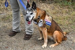 U.S. Military Working Dog Teams Monument 10th Anniversary Commemoration