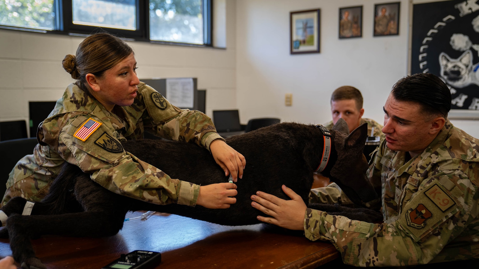 U.S. Army Sgt. Jennifer Alvarez, Keesler veterinary clinic NCO in charge, demonstrates canine emergency medical procedures using the Advanced Canine Medical Trainer K-9 Diesel to members of the 81st Security Forces Squadron at Keesler Air Force Base, Mississippi, Oct. 20, 2023.