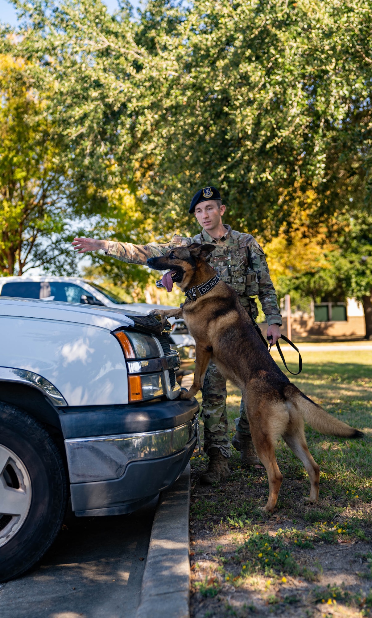 U.S. Air Force Staff Sgt. Dustin Hadsock, 81st Security Forces Squadron military working dog handler, works with Durango, 81st SFS MWD, to perform random vehicle drug searches at Keesler Air Force Base, Mississippi, Oct. 20, 2023.