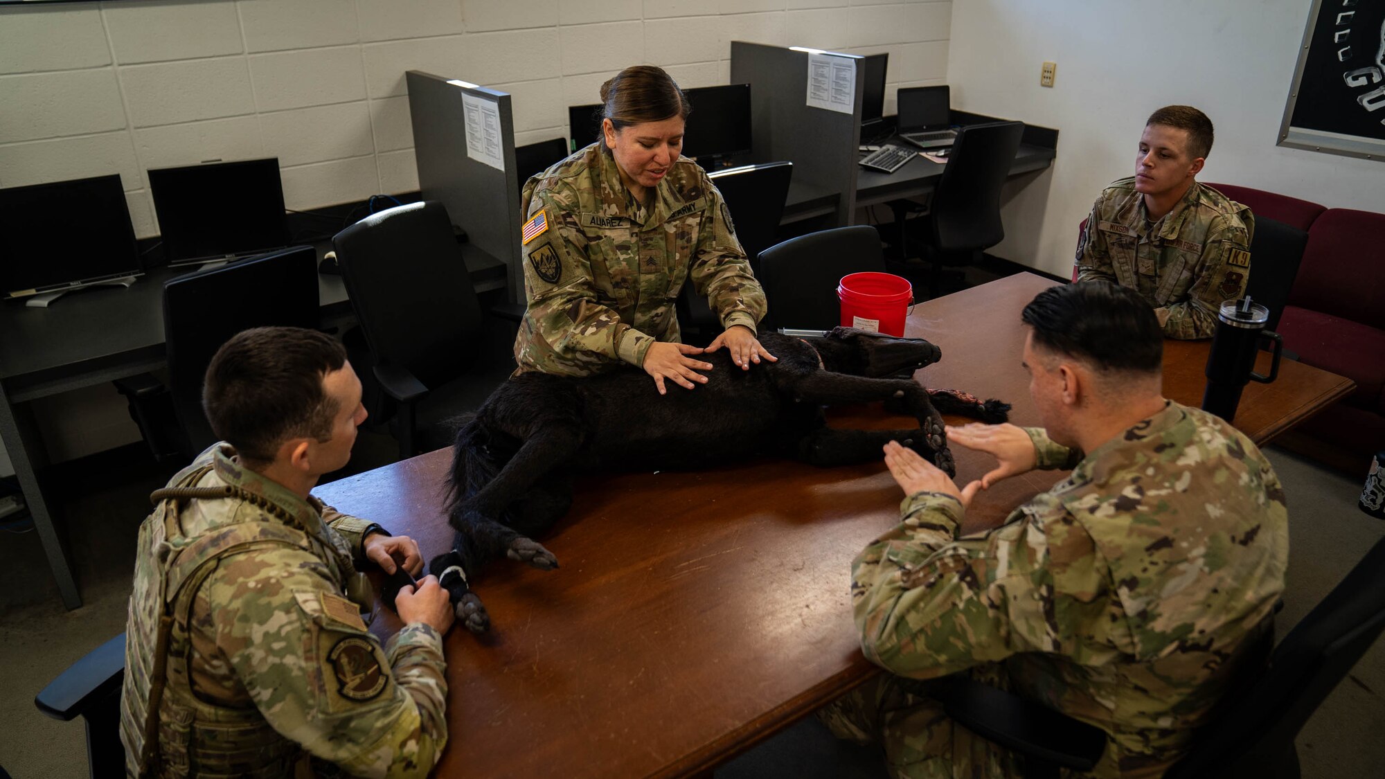 U.S. Army Sgt. Jennifer Alvarez, Keesler veterinary clinic NCO in charge, demonstrates canine emergency medical procedures using Advanced Canine Medical Trainer K-9 Diesel to members of the 81st Security Forces Squadron at Keesler Air Force Base, Mississippi, Oct. 20, 2023.