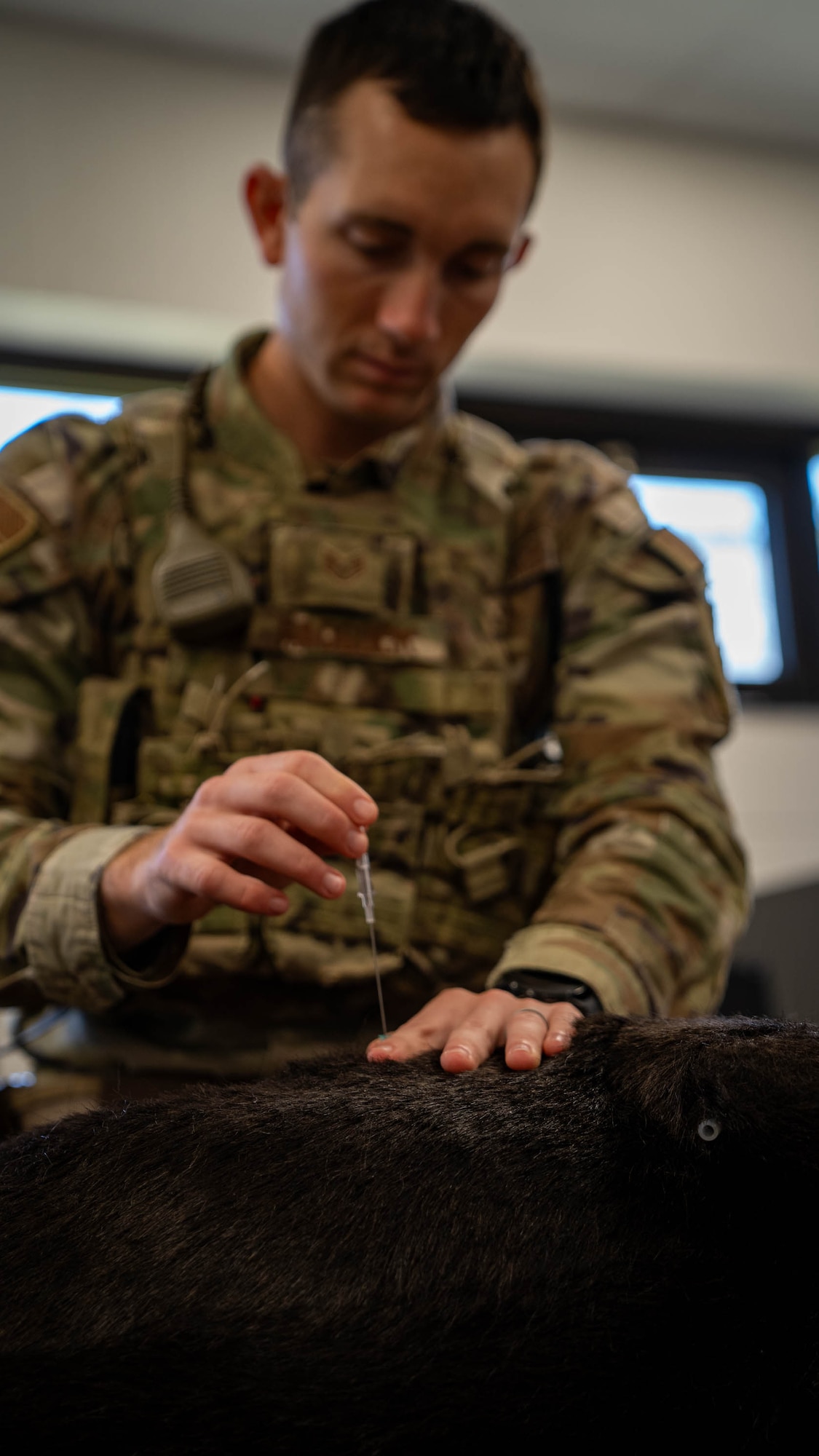U.S. Air Force Staff Sgt. Dustin Hadsock, 81st Security Forces Squadron military working dog handler, practices canine emergency medical procedures using Advanced Canine Medical Trainer K-9 Diesel at Keesler Air Force Base, Mississippi, Oct. 20, 2023.