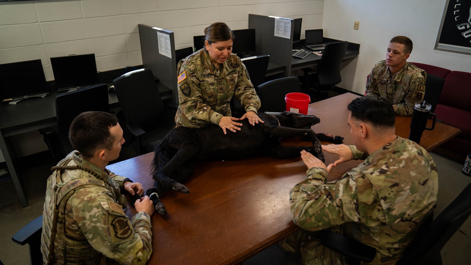 U.S. Army Sgt. Jennifer Alvarez, Keesler veterinary clinic NCO in charge, demonstrates canine emergency medical procedures using Advanced Canine Medical Trainer K-9 Diesel to members of the 81st Security Forces Squadron at Keesler Air Force Base, Mississippi, Oct. 20, 2023.
