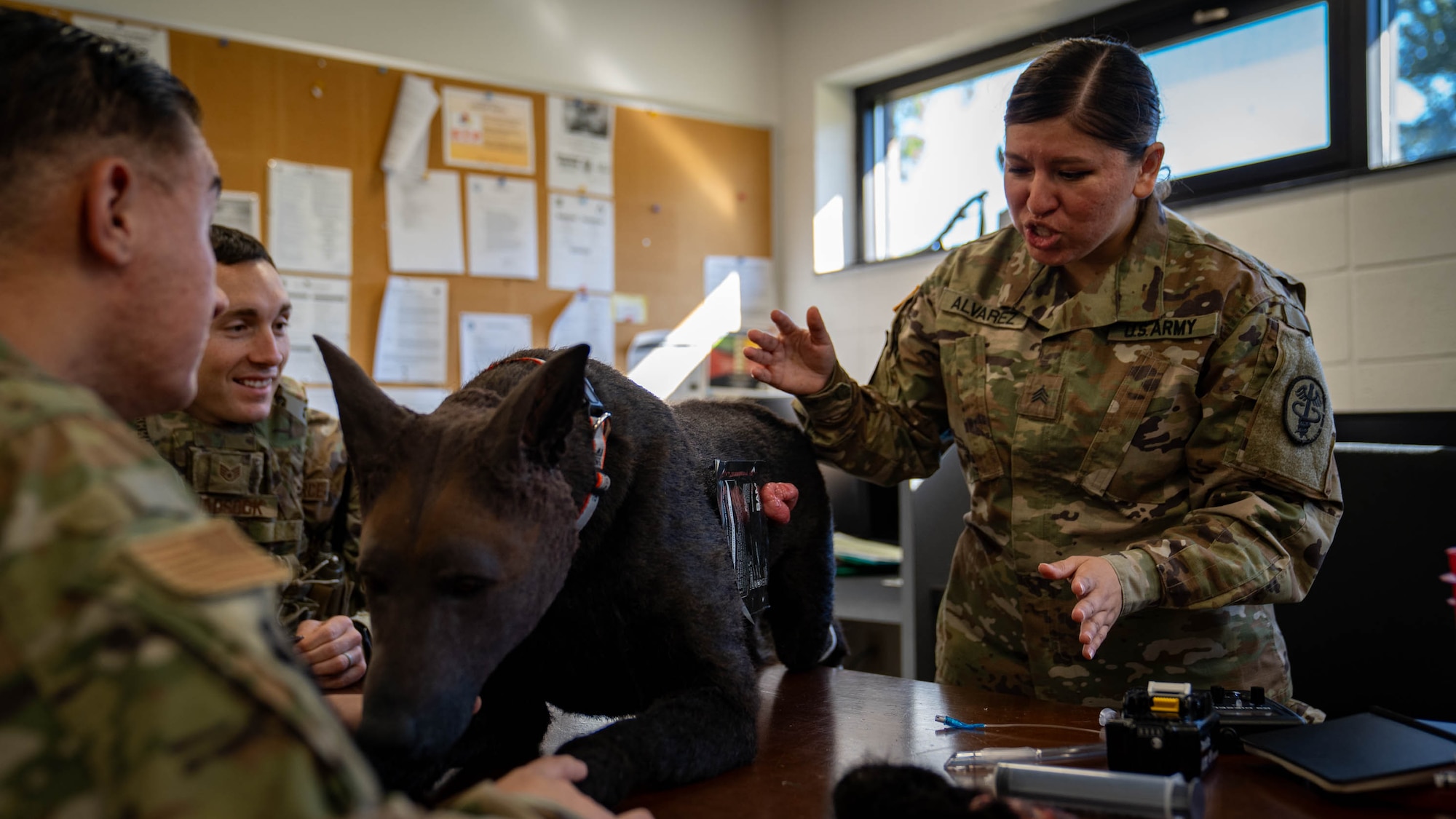 U.S. Army Sgt. Jennifer Alvarez, Keesler veterinary clinic NCO in charge, demonstrates canine emergency medical procedures using Advanced Canine Medical Trainer K-9 Diesel to members of the 81st Security Forces Squadron at Keesler Air Force Base, Mississippi, Oct. 20, 2023.