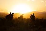 Security forces Airmen operate in the desert at sunset