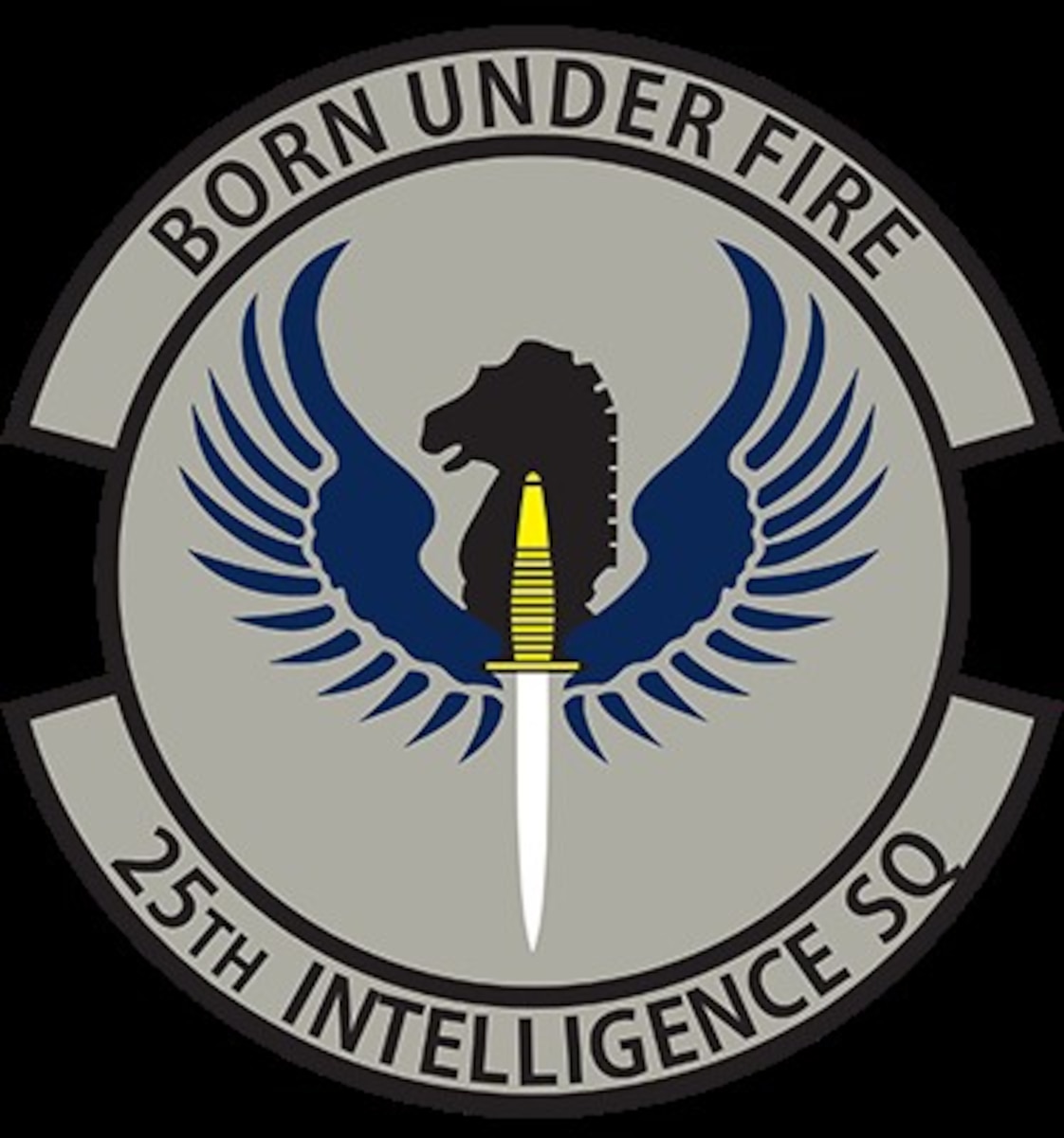 BORN UNDER FIRE; 25 IS celebrates 30th Anniversary > Sixteenth Air