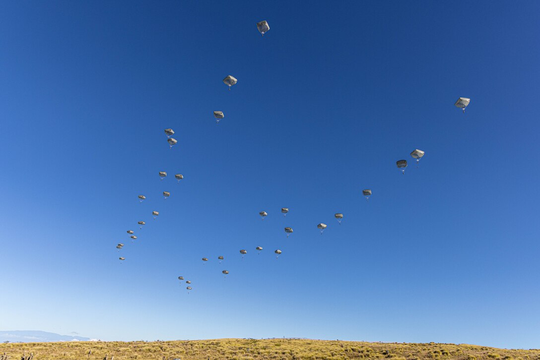 More than 30 soldiers parachute toward a field during daylight.