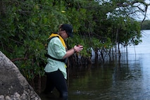 Naval Facilities Engineering Systems Command Environmentalist hunt for invasive coral off the waters of JBPHH.