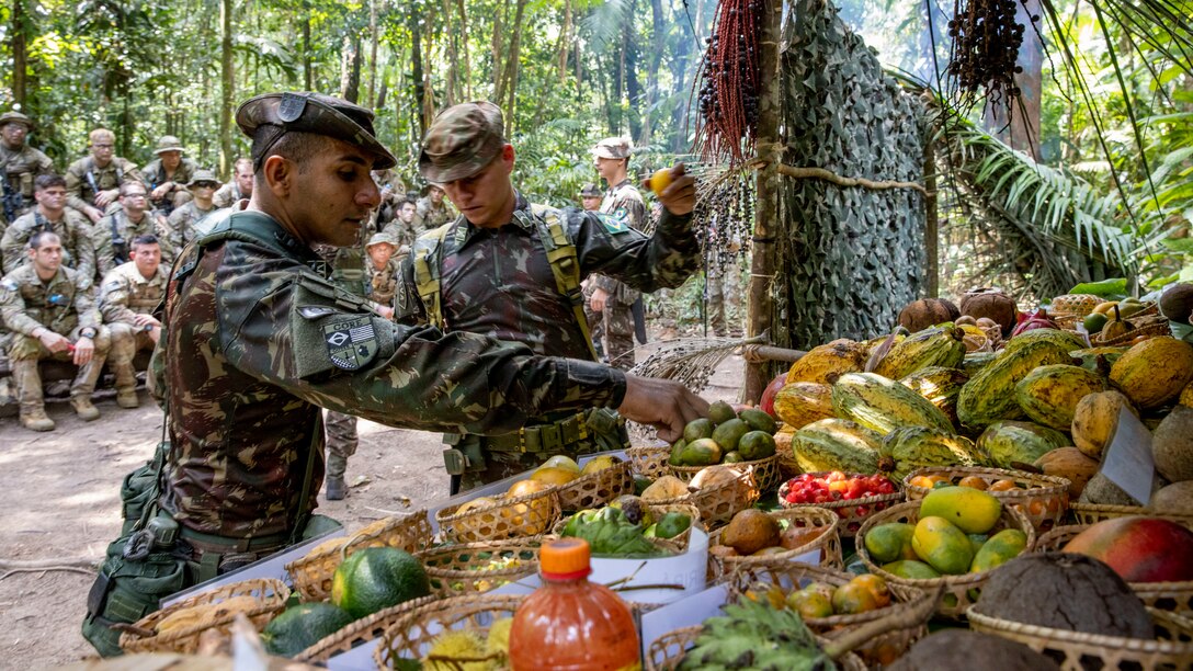 Brazilian Army soldiers select different fruits located in the Amazon.