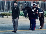 Illinois Army National Guard Private 1st Class Aden Trautvetter stands at attention during the Quincy (Illinois) Veterans Day Parade on Nov. 4.