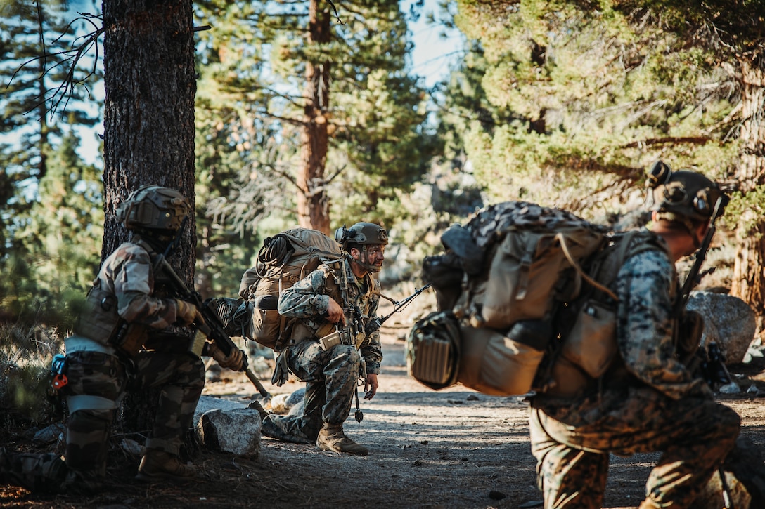 U.S. Marines with 2nd Battalion, 5th Marine Regiment, 1st Marine Division, and a French Foreign Legion soldier with the French 27th Mountain Infantry Brigade, wait for orders during a simulated cliff assault as part of Mountain Exercise 1-24 at Marine Corps Mountain Warfare Training Center, Bridgeport, California, Oct. 20, 2023. Marine Air-Ground Task Force Training Command is directly involved in joint efforts to develop, test, and improve standards to provide for joint interoperability. (U.S. Marine Corps photo by Lance Cpl. Richard PerezGarcia)