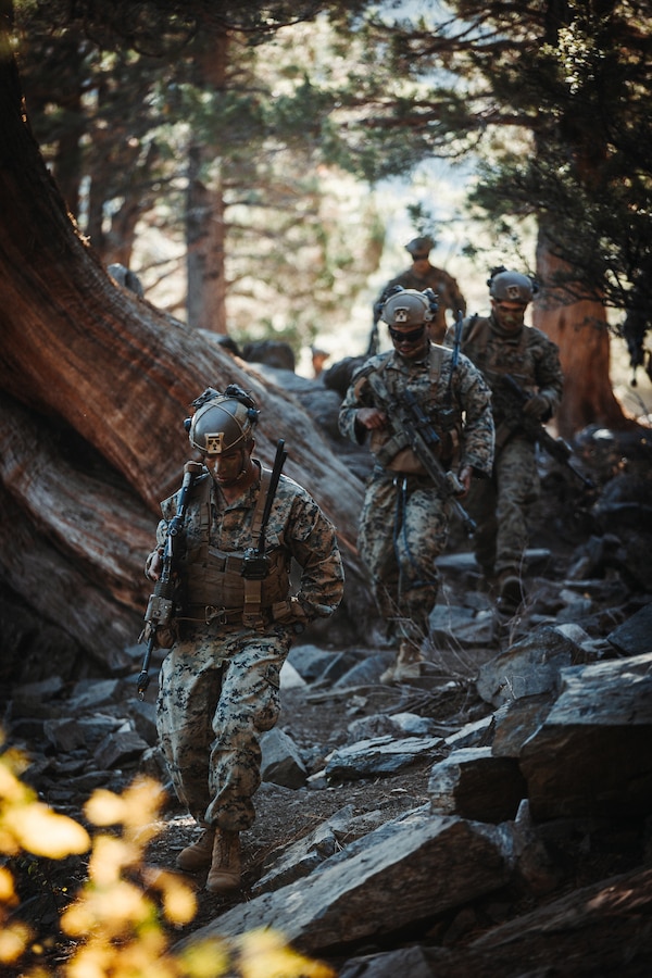 U.S. Marines with 2nd Battalion, 5th Marine Regiment, 1st Marine Division, move to rope ladder during a simulated cliff assault as part of Mountain Exercise 1-24 at Marine Corps Mountain Warfare Training Center, Bridgeport, California, Oct. 20, 2023. MCMWTC specializes in mountain warfare training, providing a unique and ideal opportunity to rehearse operations in a mountainous environment. (U.S. Marine Corps photo by Lance Cpl. Richard PerezGarcia)