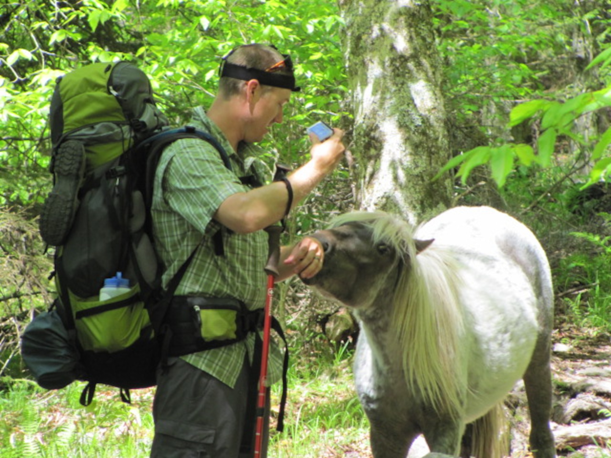 A wild pony at Grayson Highlands State Park in Virginia licks salt off the arm of Robert Ligas II as he hikes the Appalachian Trail on May 23, 2016, with his father, Rob. Rob Ligas, a retired Airman and longtime civilian employee at Wright-Patterson Air Force Base, Ohio, completed the full 2,198-mile journey this past summer. (Contributed photo)