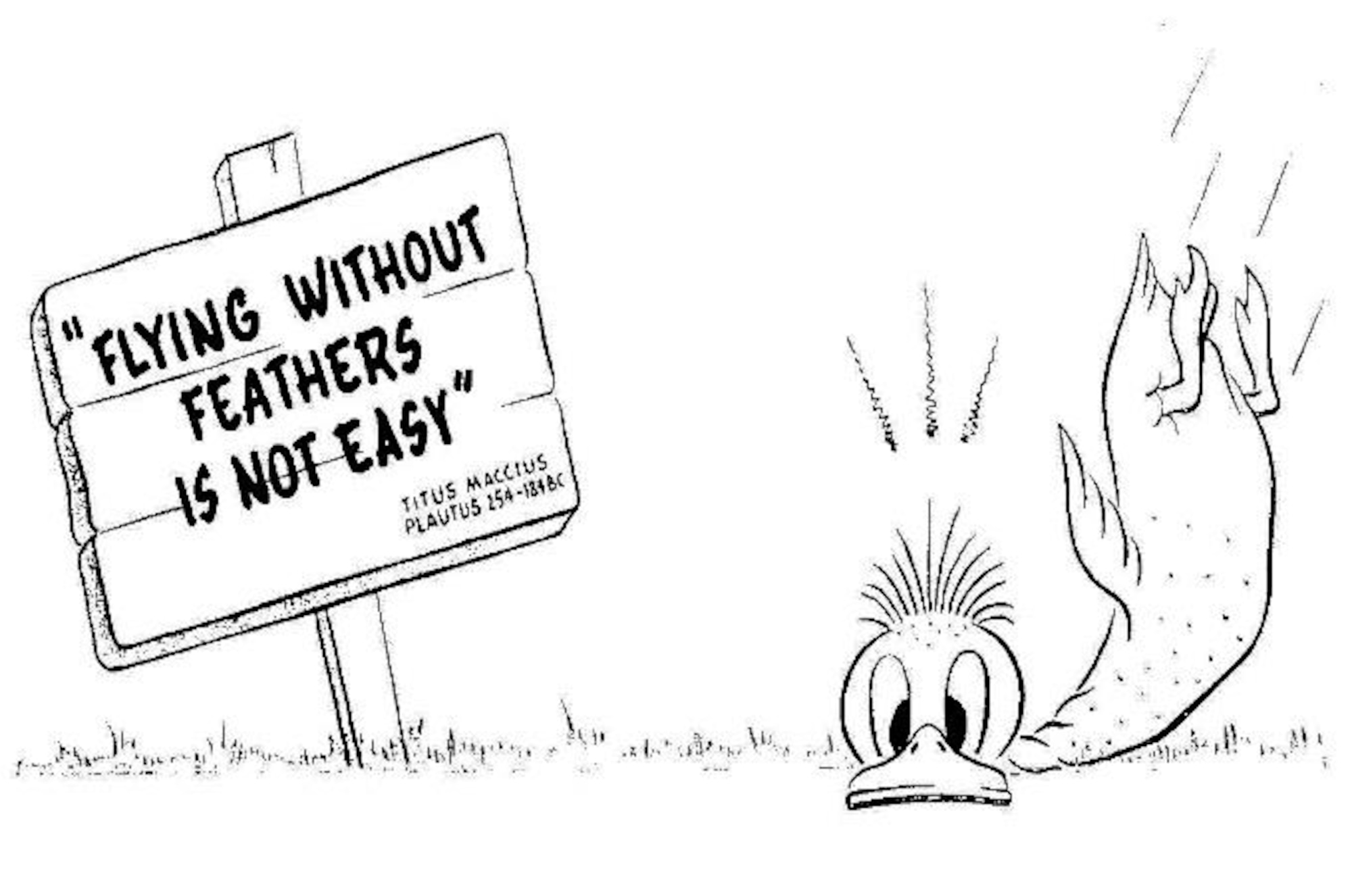 Flying Without Feathers
