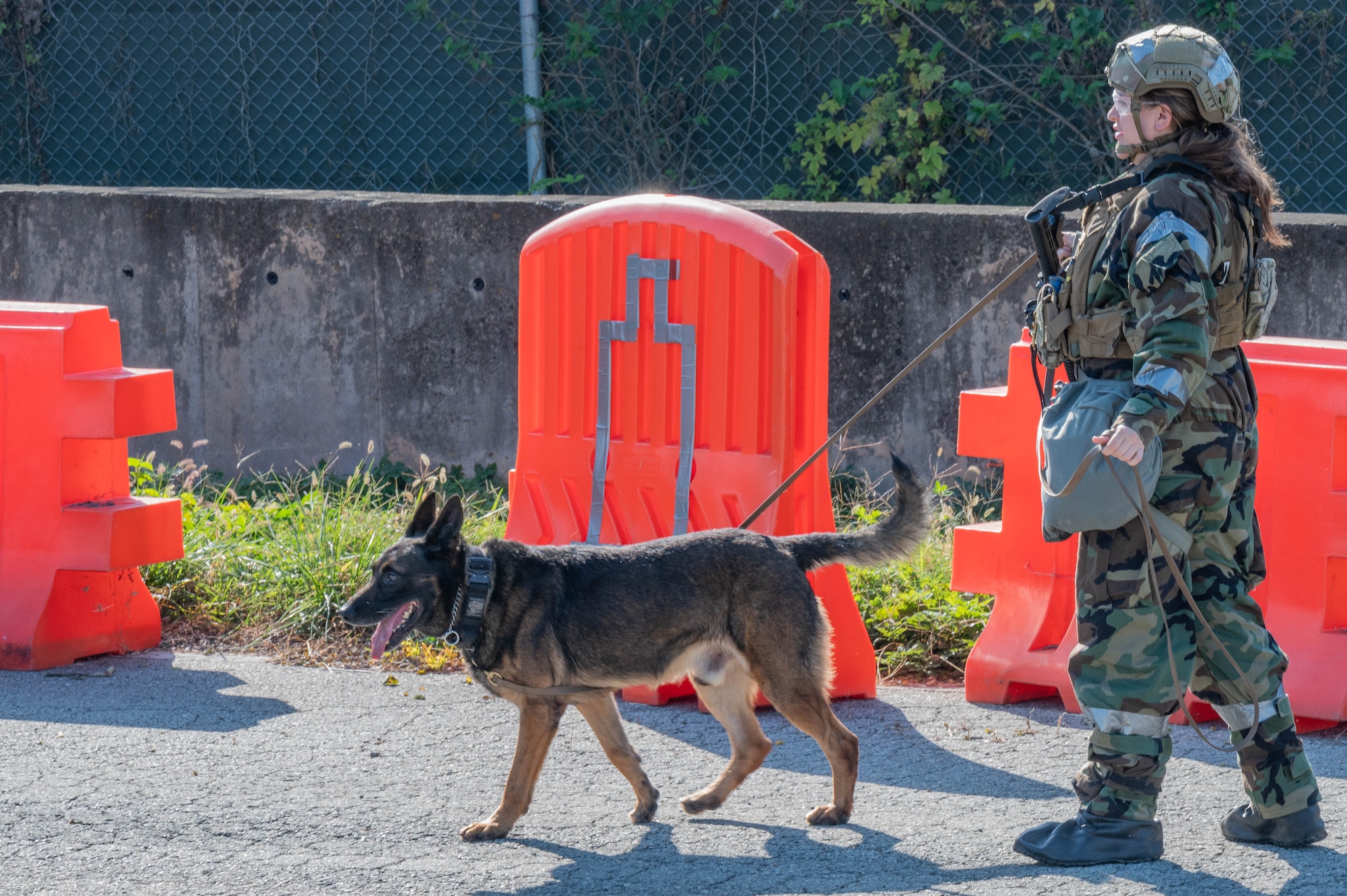 U.S. Air Force Senior Airman Emily Brotherton, 51st Security Forces Squadron military working dog handler, scans a road for simulated opposing forces with MWD Brutus during Vigilant Defense 24 at Osan Air Base, Republic of Korea, Nov. 2, 2023. Training with MWDs prepares both the K-9 and handler how to respond to real-world threats. VD24 is a routine training event that tests the military capabilities across the peninsula, allowing combined and joint training at both the operational and tactical levels. (U.S. Air Force photo by Airman 1st Class Chase Verzaal)